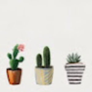 Meet your Posher, Natalia